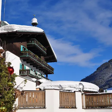 Stammhaus Im Alpine Palace